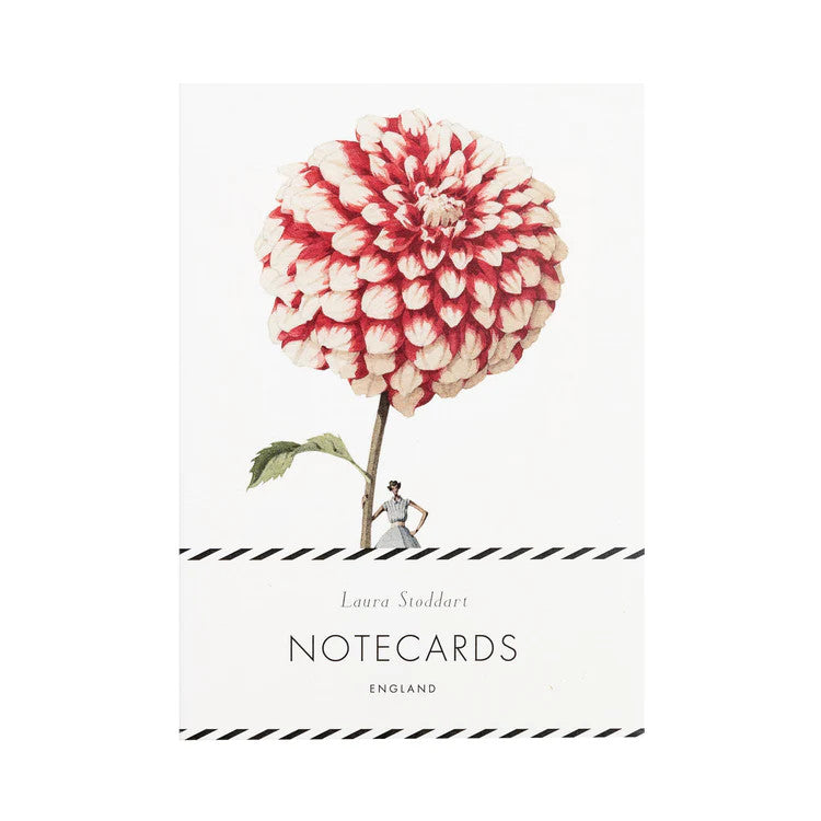 In Bloom Dahlia Notecards Set  by Laura Stoddart