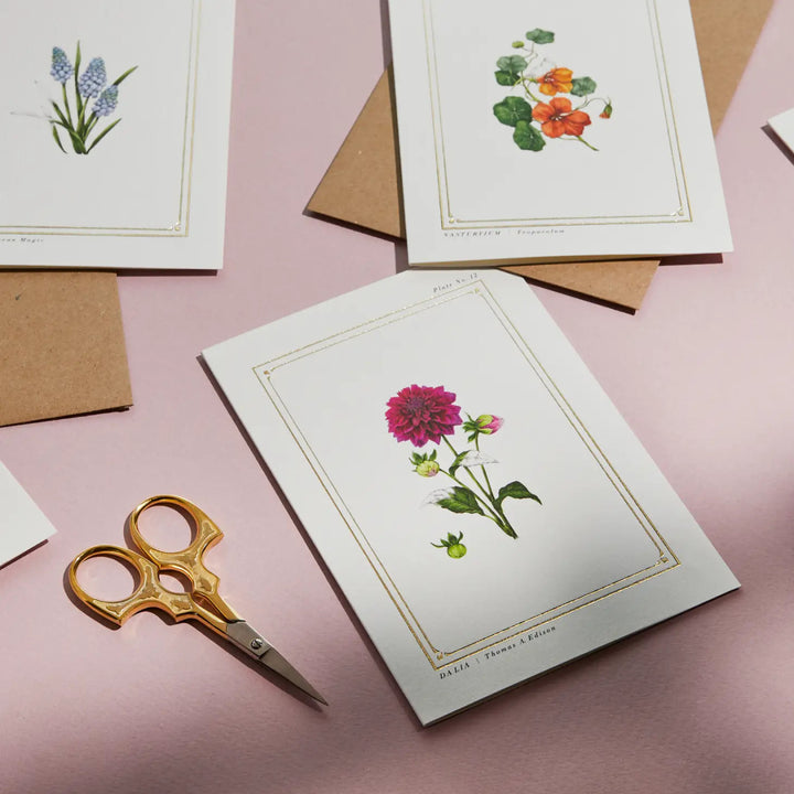 Dahlia - 'Botanical Archive: Everyday Edition' - card