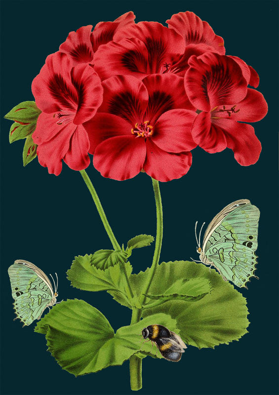 Bee & Green Butterfly Greetings Card by Madame Treacle.