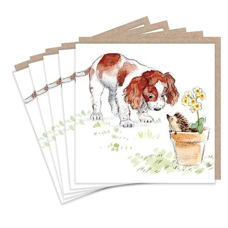 Set of 5 Spaniel and Hedgehog notecards by Paper Shed Designs.