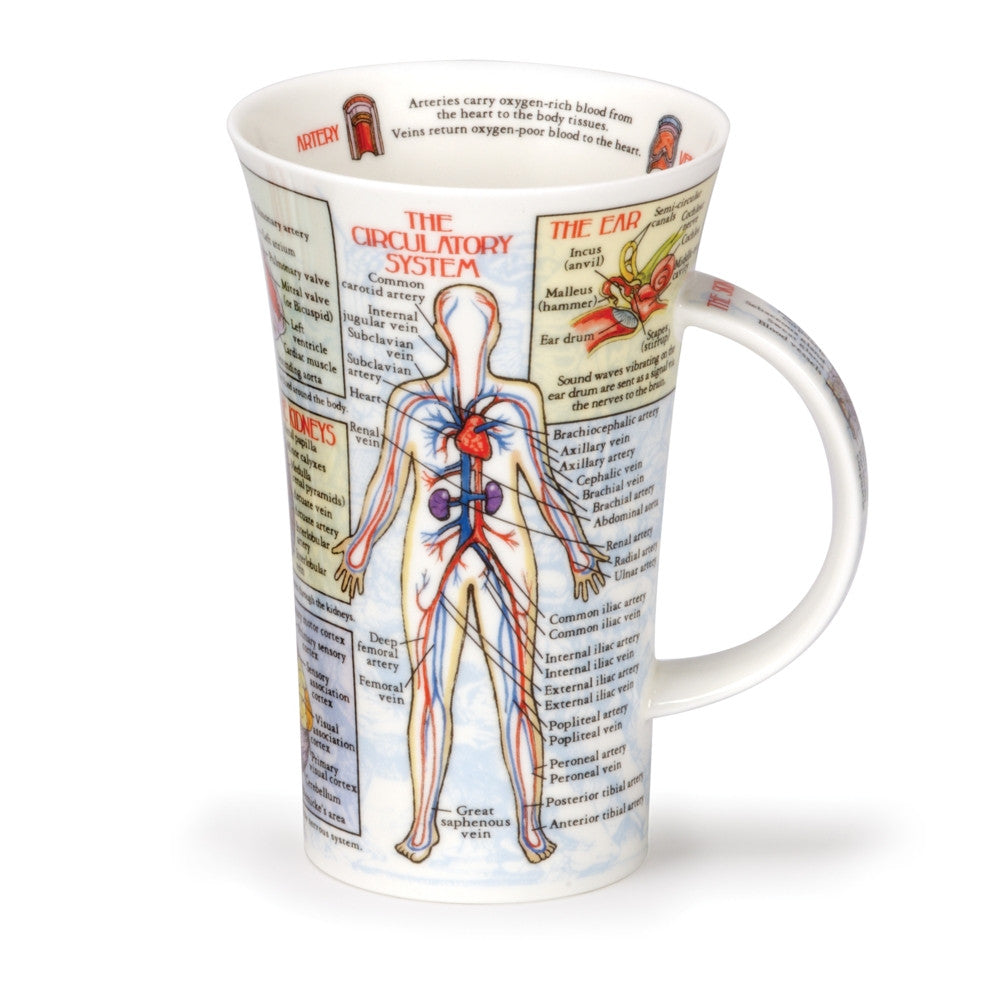 Glencoe Bodyworks Mug