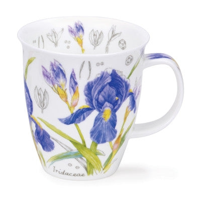 Fine bone china Nevis Floral Sketch Iris Mug