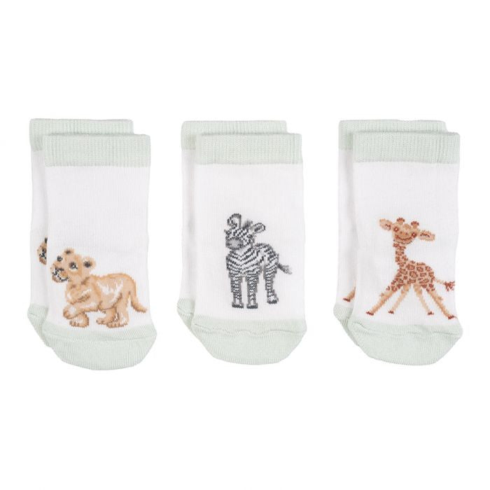 'Little Savannah' African Animals Socks Set by Wrendale Designs