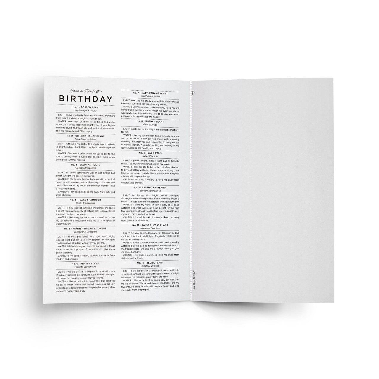 Have a Plantastic Birthday Card by Everlong Print Co.