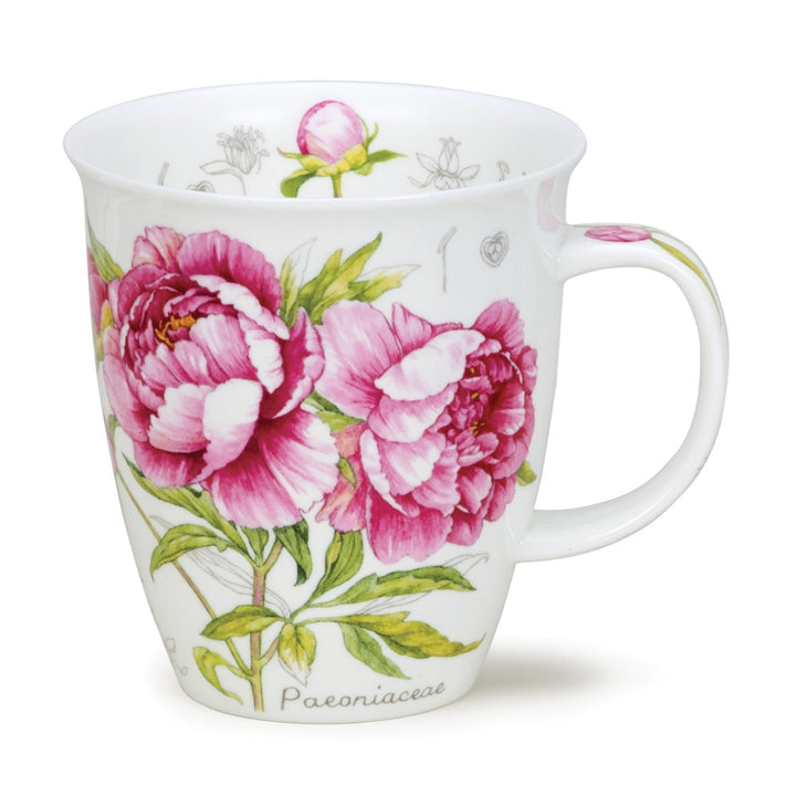 Dunoon Botanical Sketch Peony mug in Nevis shape.