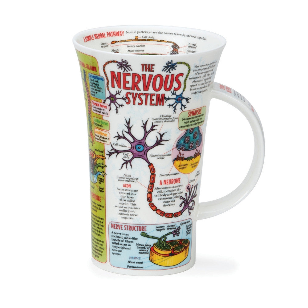 Glencoe The Nervous System Mug by Dunoon.