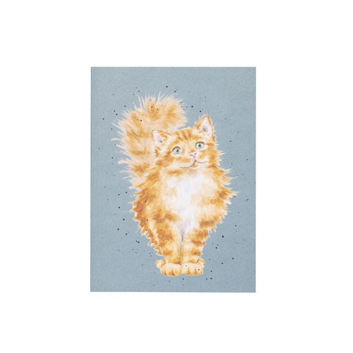 'Just Purr-fect' Cat A6 Notebook