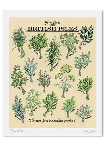 Kelly Hall Fresh Herbs Print. Printed in England.