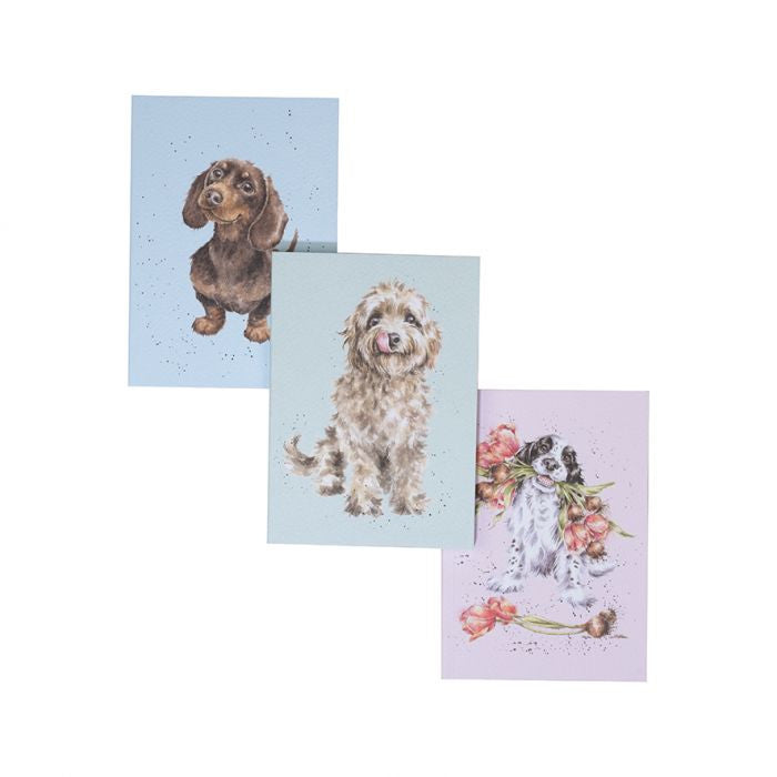 A Dog's Life - Set of 3 Notebooks by Wrendale Designs.