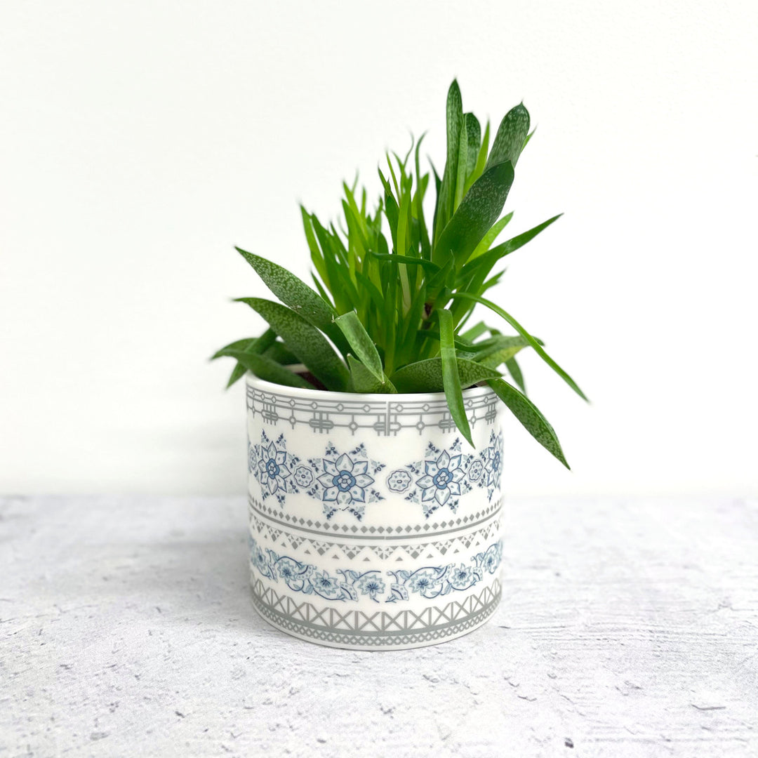 Alex Allday Safflower Ceramic Planter Pot/Tea Light Holder