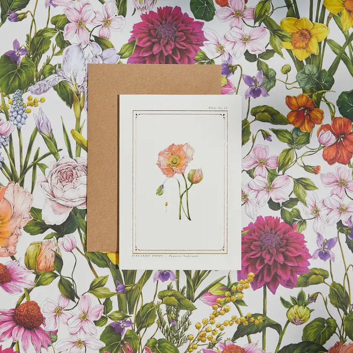 Icelandic Poppy - 'Botanical Archive: Everyday Edition' - card