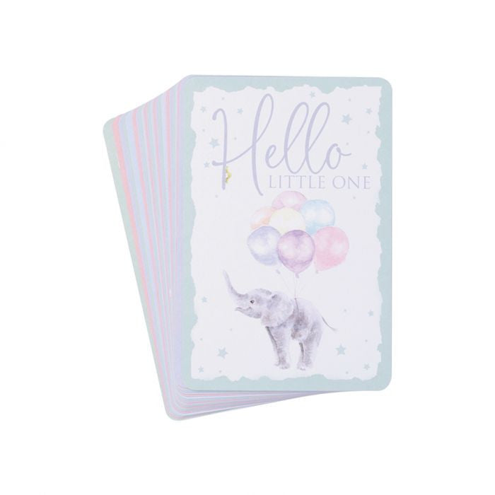 Baby Animals Milestone Cards by Wrendale Designs
