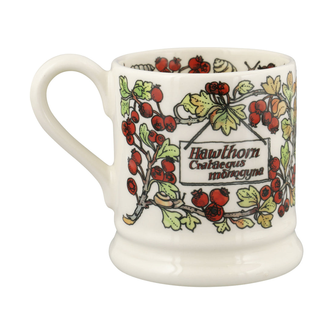 Emma Bridgewater Birds In The Hedgerow Hawthorn & Chaffinch Half Pint Mug. 