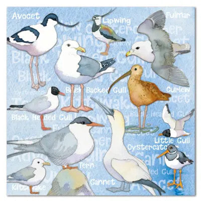 Seabirds Greetings Card by Emma Ball