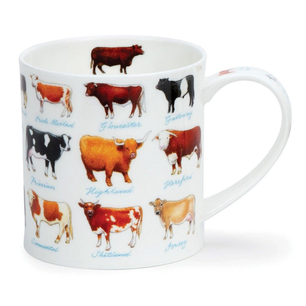 Fine bone china Dunoon Orkney On The Farm mug - cows.