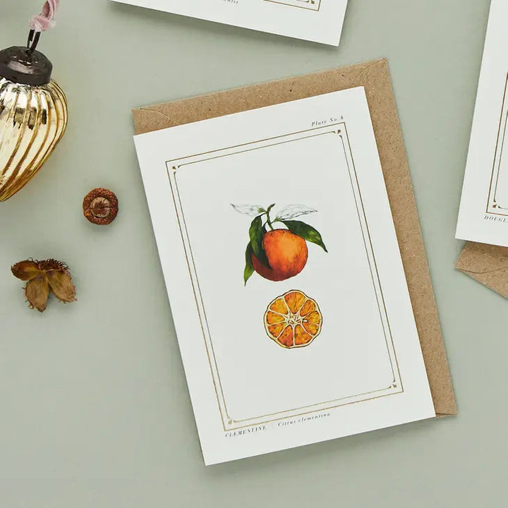 Clementine - 'Botanical Archive: Festive Edition' - card