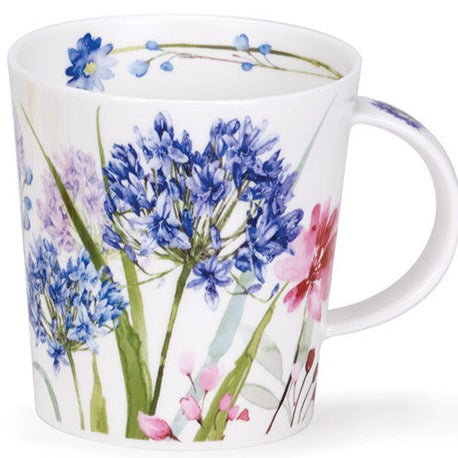 Agapanthus