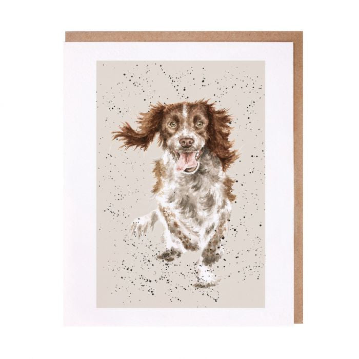 'Skye Springer Spaniel Greetings Card