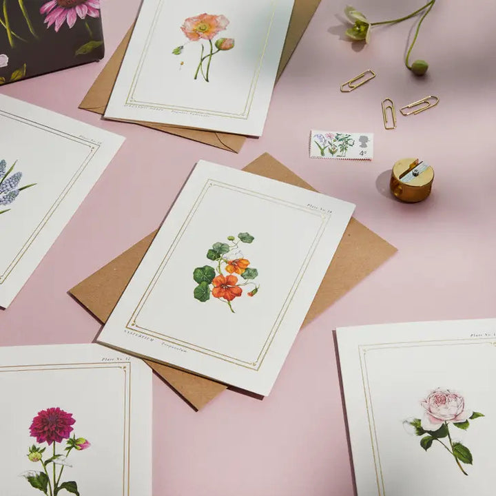 Nasturtium - 'Botanical Archive: Everyday Edition' - card
