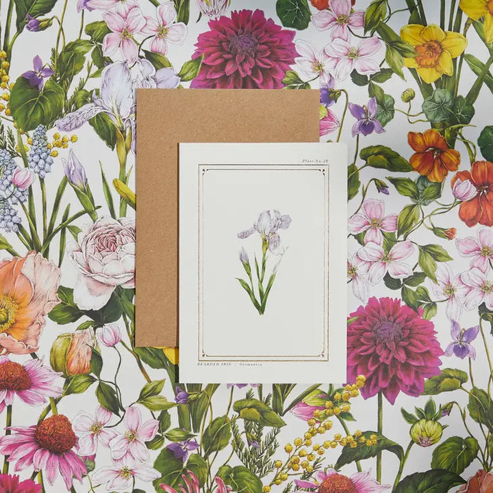Iris - 'Botanical Archive: Everyday Edition' - card