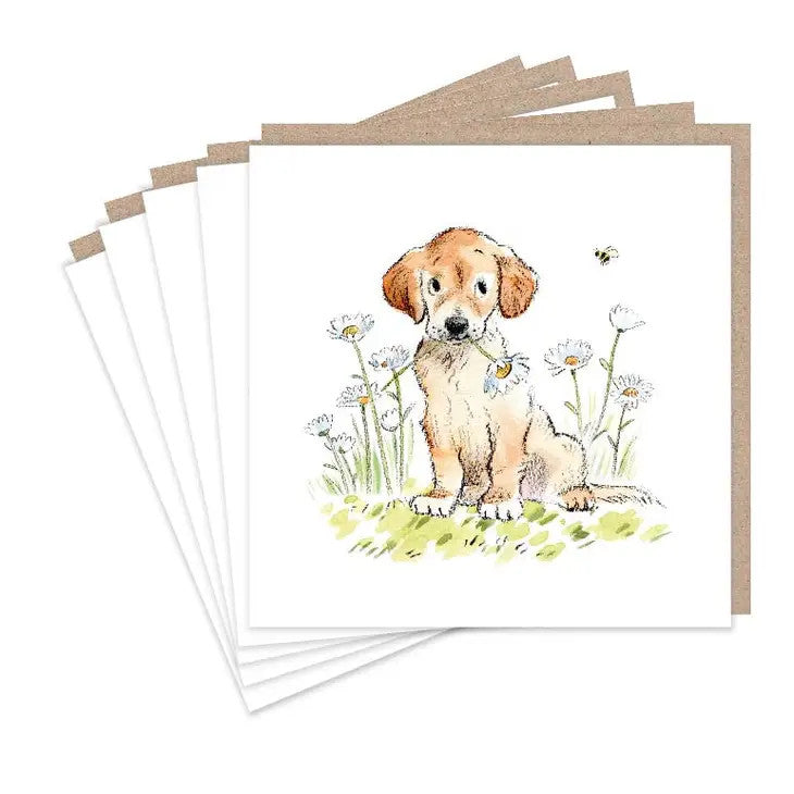 Labrador with Daisies set of 5 Notecards by Paper Shed designs