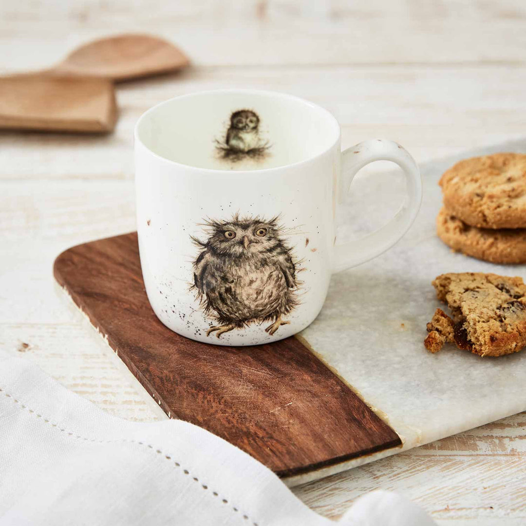 'What a Hoot' Bone China Mug from Wrendale Designs by Royal Worcester.