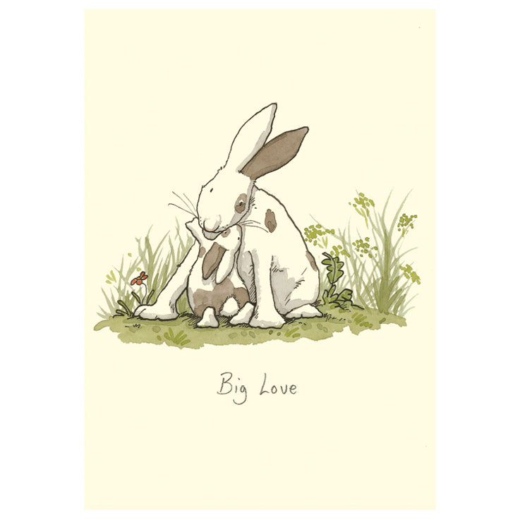 Big Love Greetings Card by Anita Jeram.