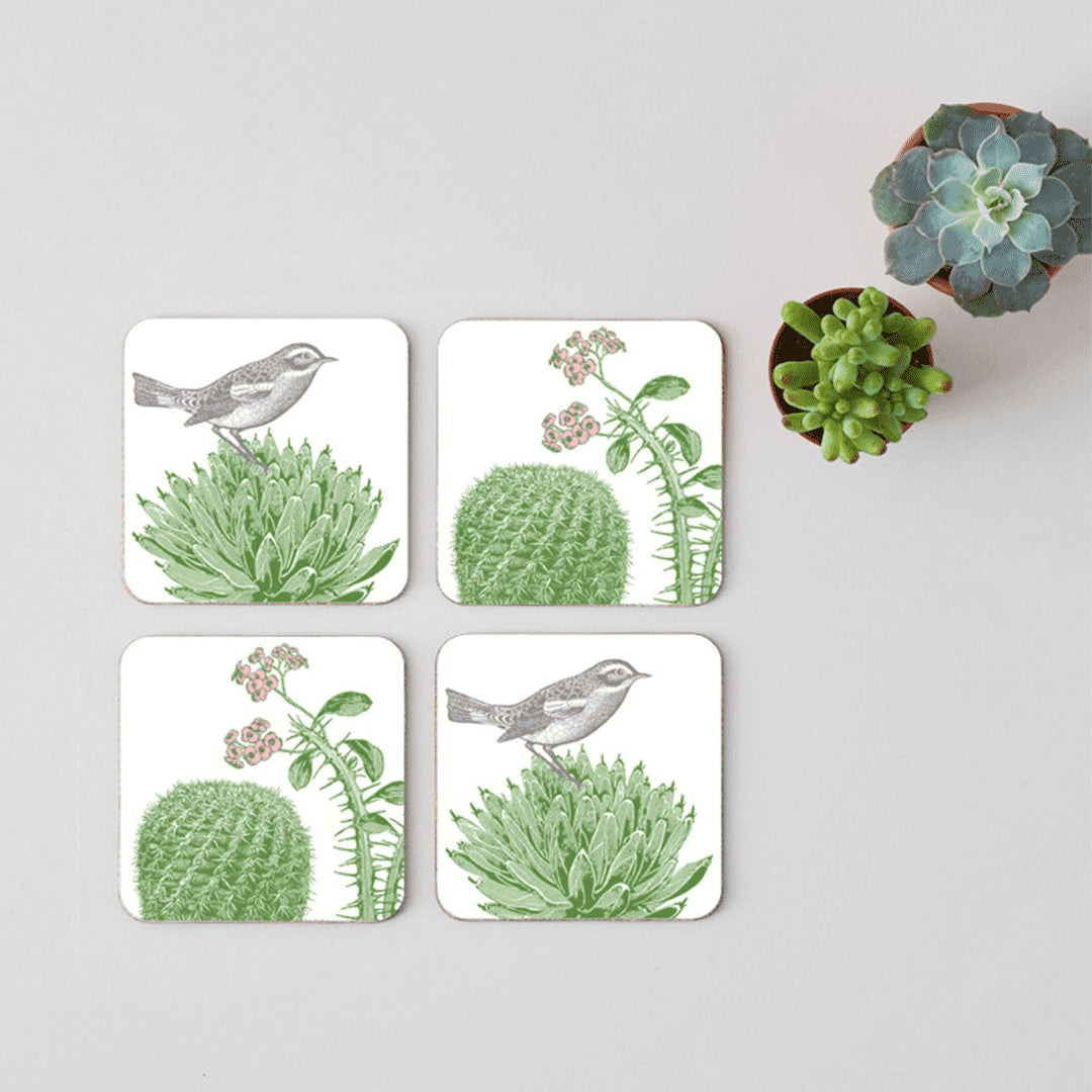 Cactus and Bird Set of 4 Coasters by Thornback and Peel.