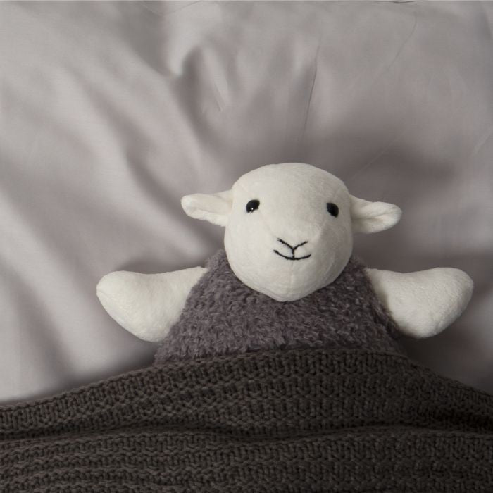 Sheep Hot Water Bottle Cover, Knitting Patterns