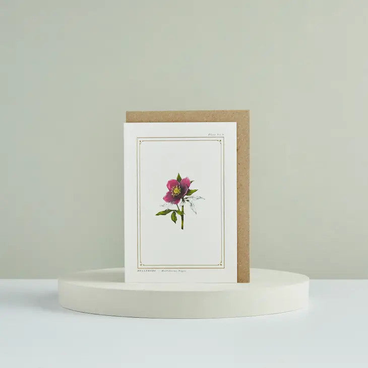 Hellebore - 'Botanical Archive: Festive Edition' - card