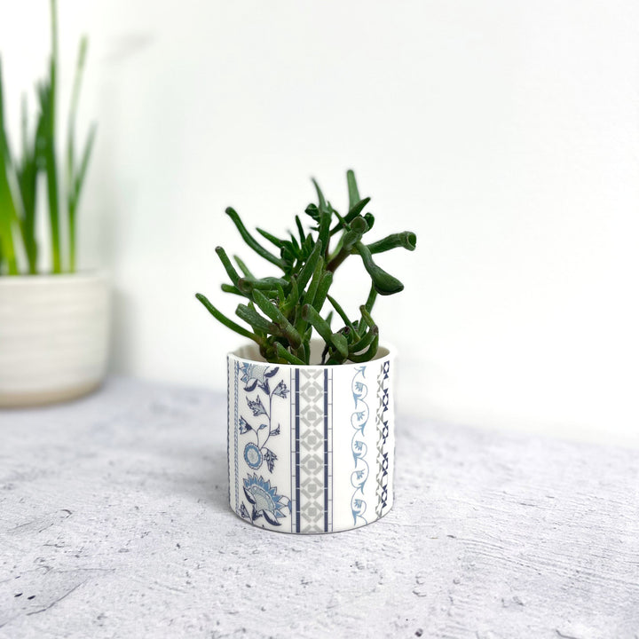 Alex Allday Jasmine Ceramic Planter Pot/Tea Light Holder