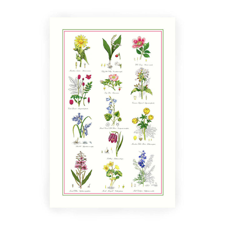 Botanical Garden Cotton Tea Towel by Samuel Lamont.