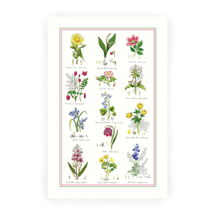 Botanical Garden Cotton Tea Towel by Samuel Lamont.