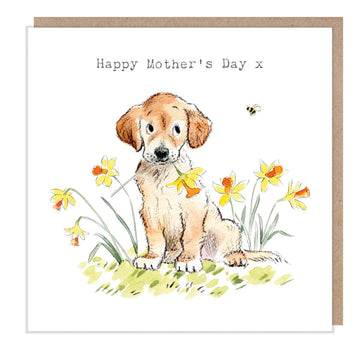 Golden Labrador Happy Mother's Day Greetings Card from Paper Shed Designs Image