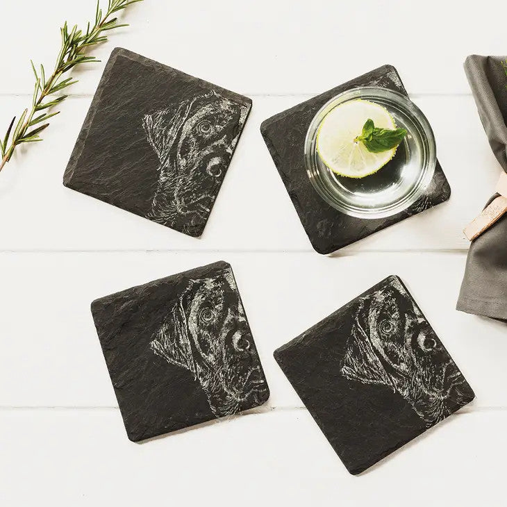 Labrador set of 4 slate coasters by Selbrae House.  