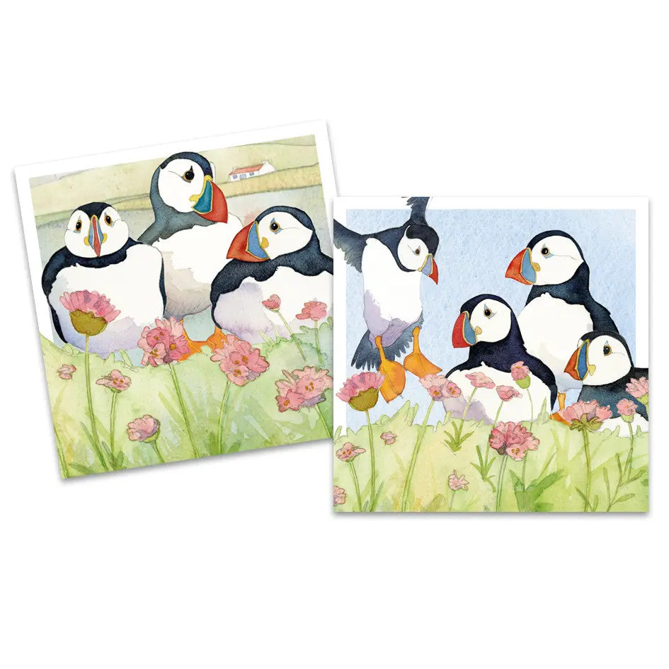 Sea Thrift Puffins pack of 10 Mini Notecards by Emma Ball.