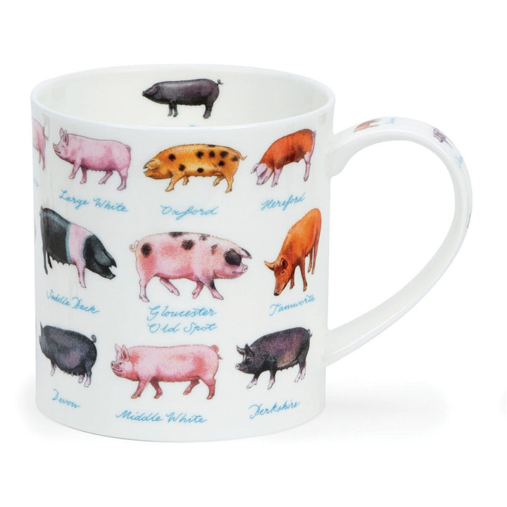 Fine bone china Dunoon Orkney On The Farm mug - pigs.