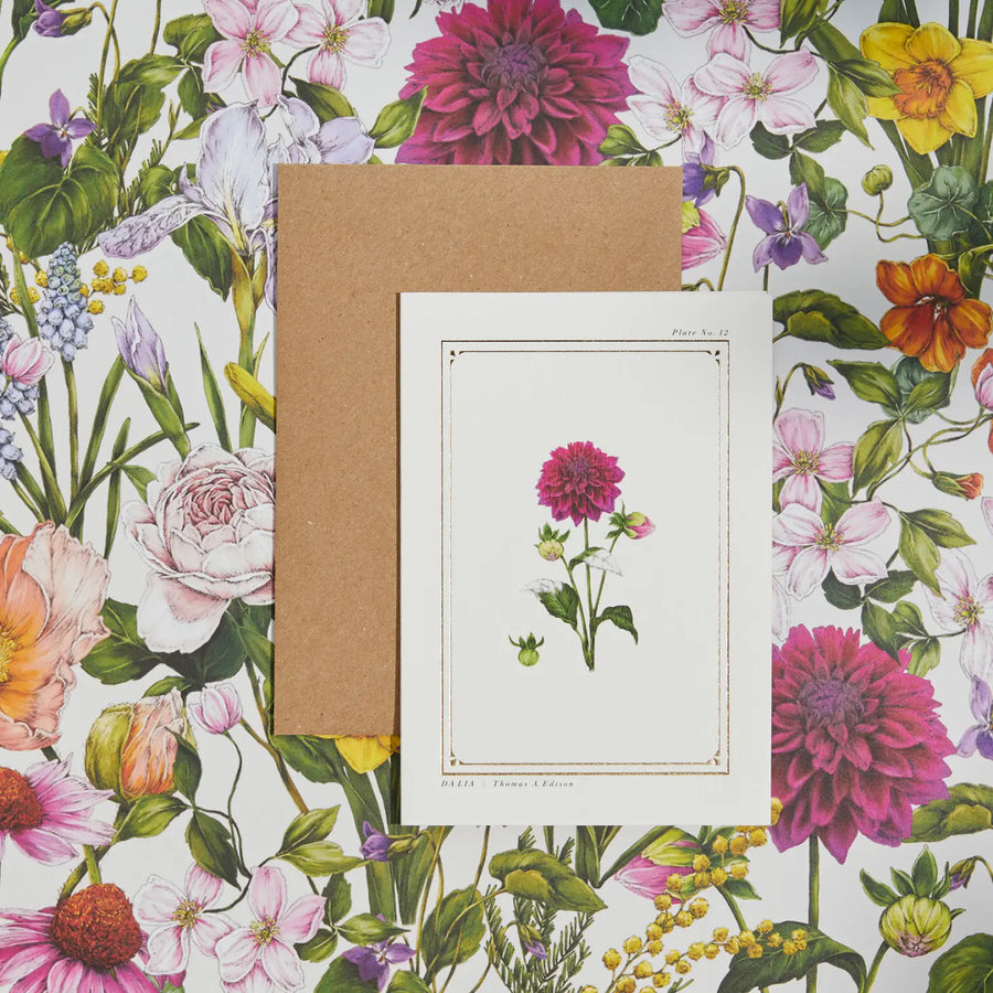 Dahlia - 'Botanical Archive: Everyday Edition' - card