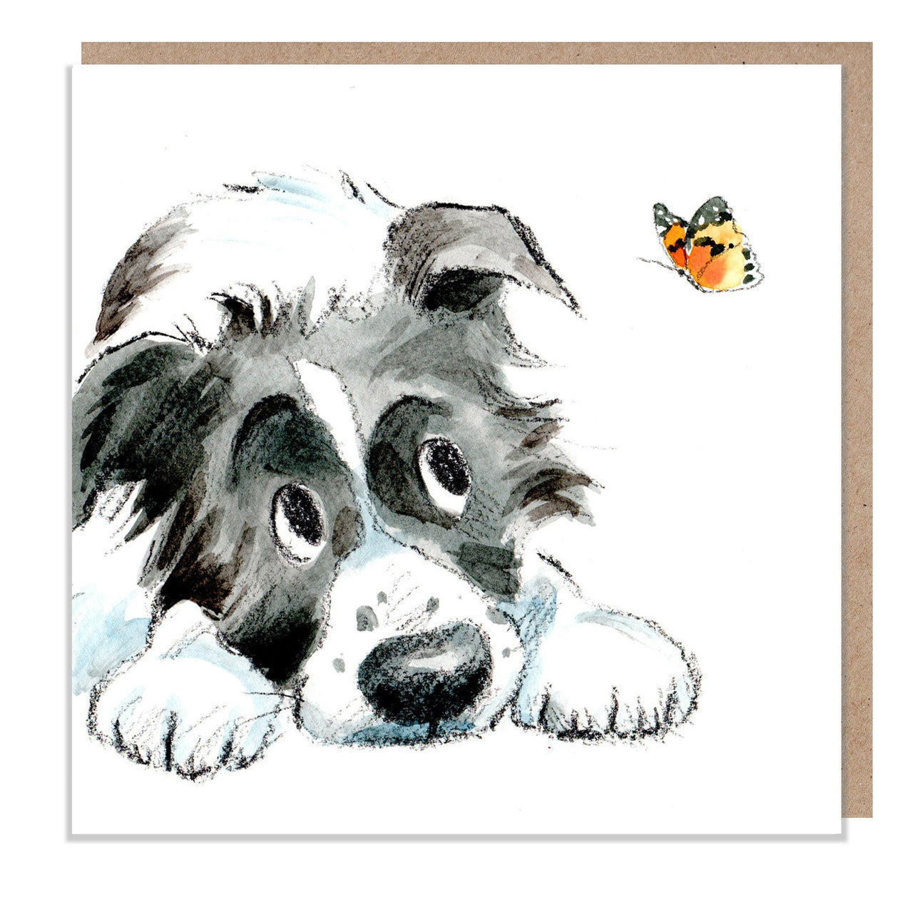Black and White Collie with Butterfly Greetings Card from Paper Shed Designs