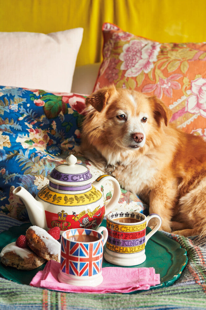 Emma bridgewater melamine deals tea set