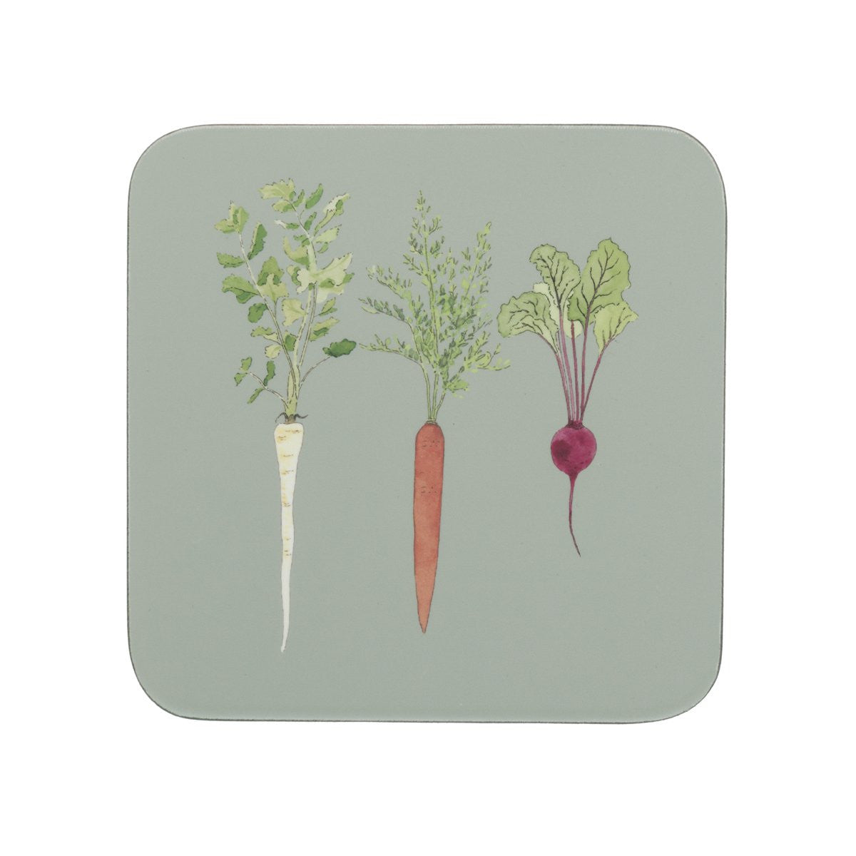 Home Grown set of 4 coasters from Sophie Allport