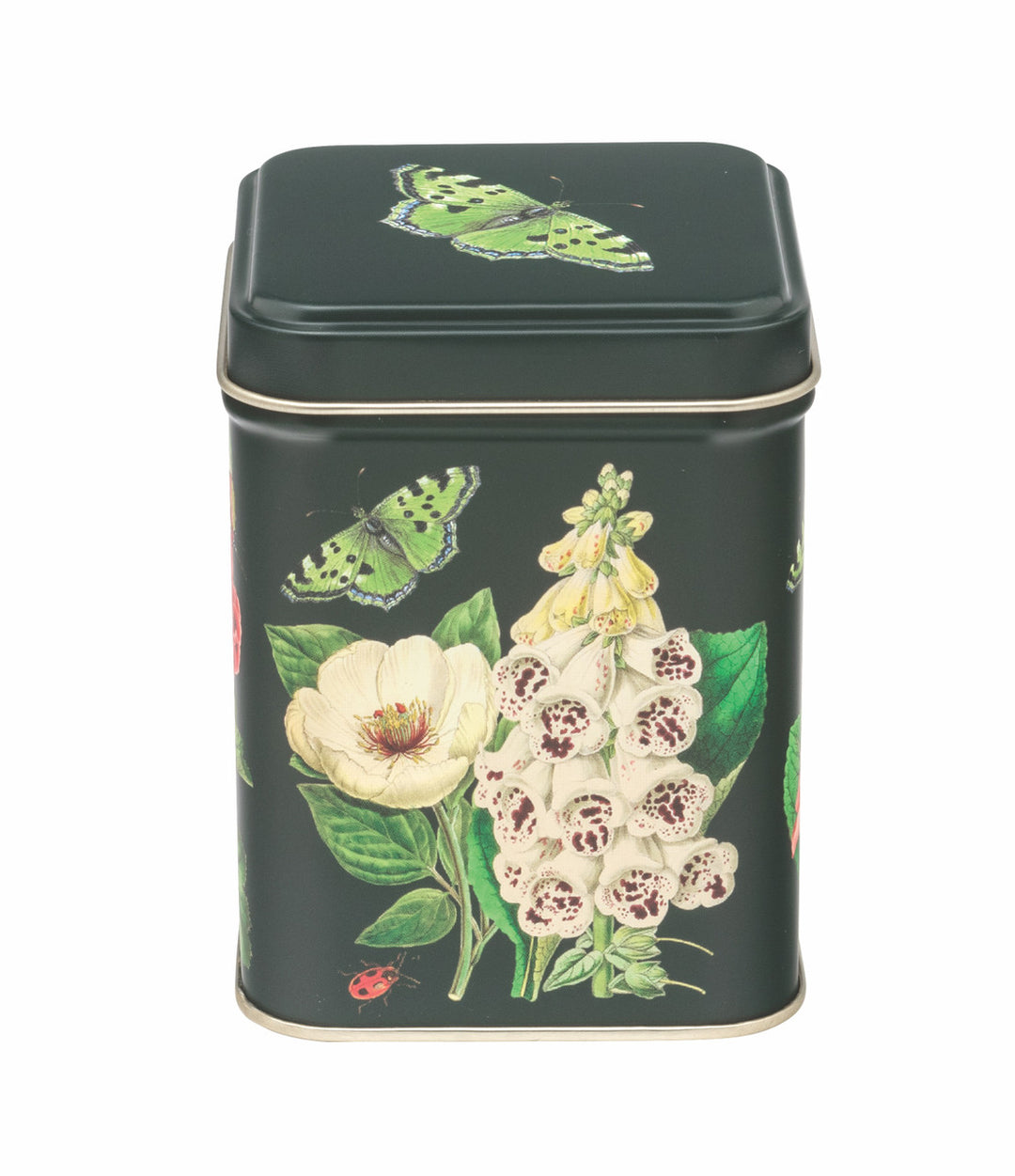Midnight Botanical Mini Tea Tin – The Bee's Knees British Imports