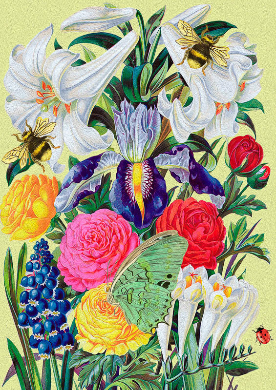 From the Walled Garden by Madame Treacle.