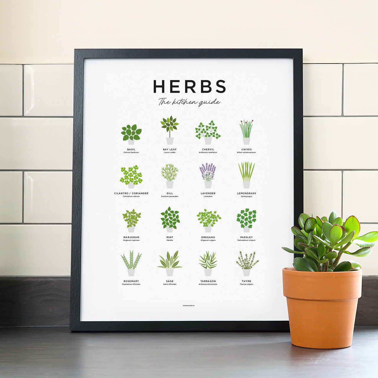 Herbs Print - Framed by Everlong Print Co.