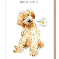 Cockapoo with Daisy Thank You Greetings Card from Paper Shed Designs