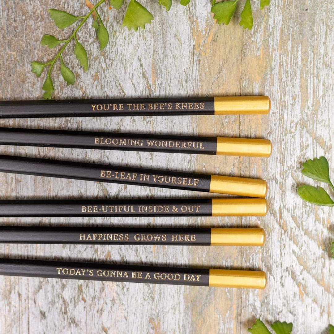 Mulberry Set of 6 Pencils by Toasted Crumpet.
