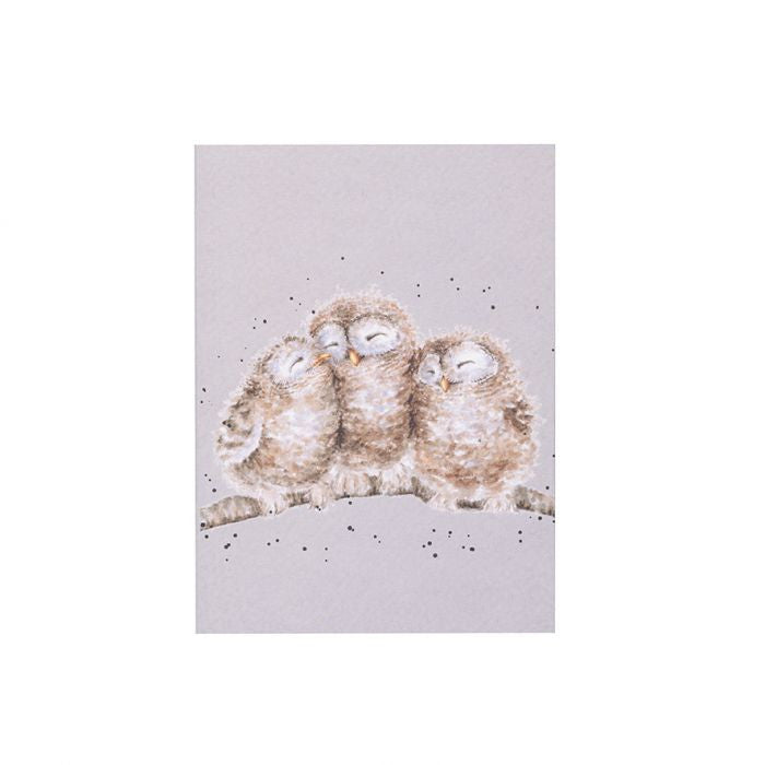 'Owlets' Owl A6 Notebook