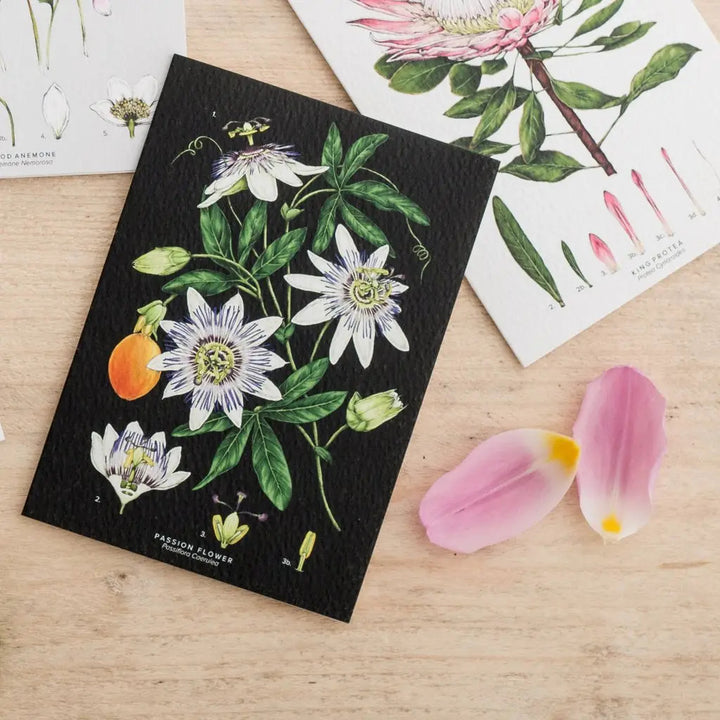 Passion Flower - Black - Greetings Card