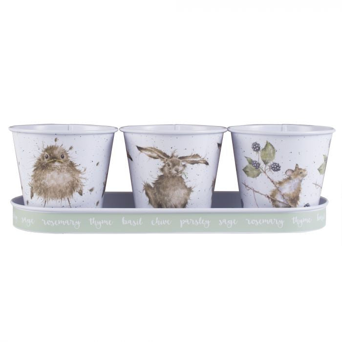 Set of 3 Animal Herb Pots by Hannah Dale.