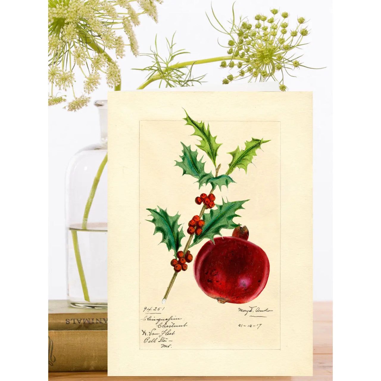 Pomegranate Christmas Card by Madame Treacle.